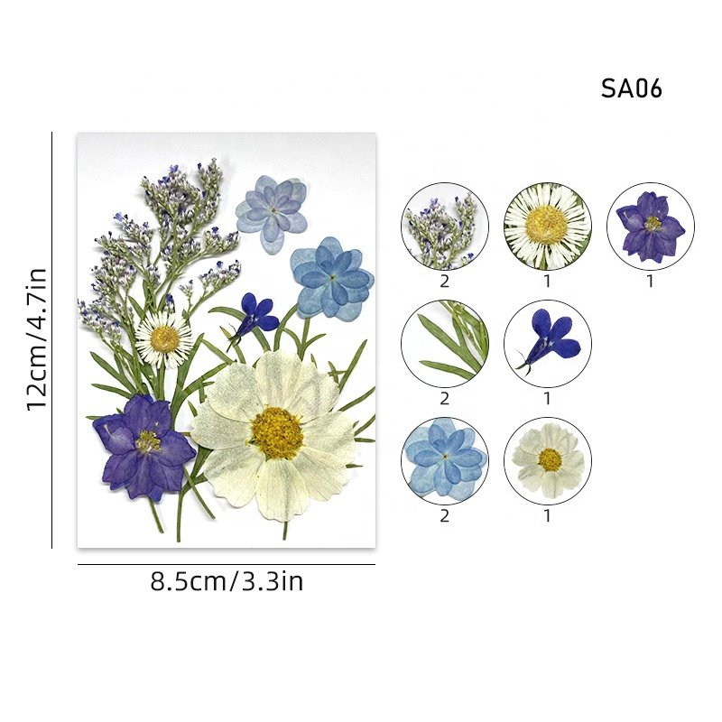 Hot Selling DIY Mixed Real Natural Dried Pressed flowers and leaves for resin crafts