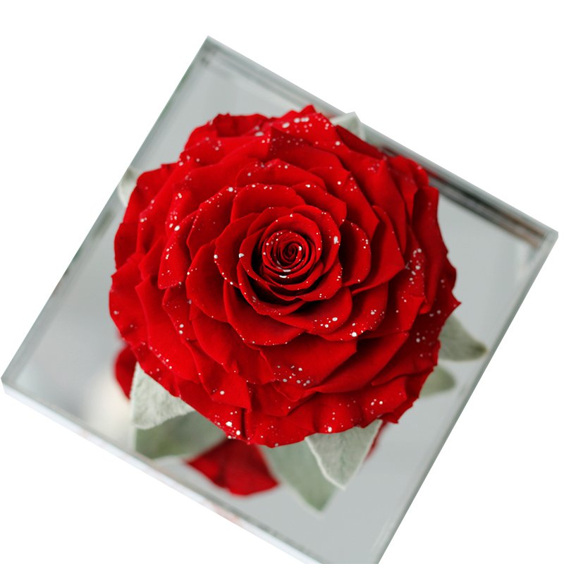 OEM Christmas Valentine's Day Gifts Handmade Fresh Preserved Forever Roses Natural Real Eternal Preserved Flowers in Acrylic Box