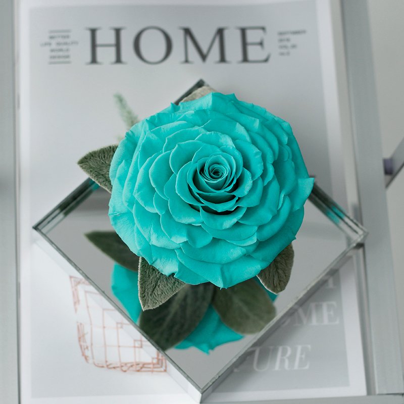 OEM Christmas Valentine's Day Gifts Handmade Fresh Preserved Forever Roses Natural Real Eternal Preserved Flowers in Acrylic Box