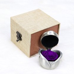 silver-purple