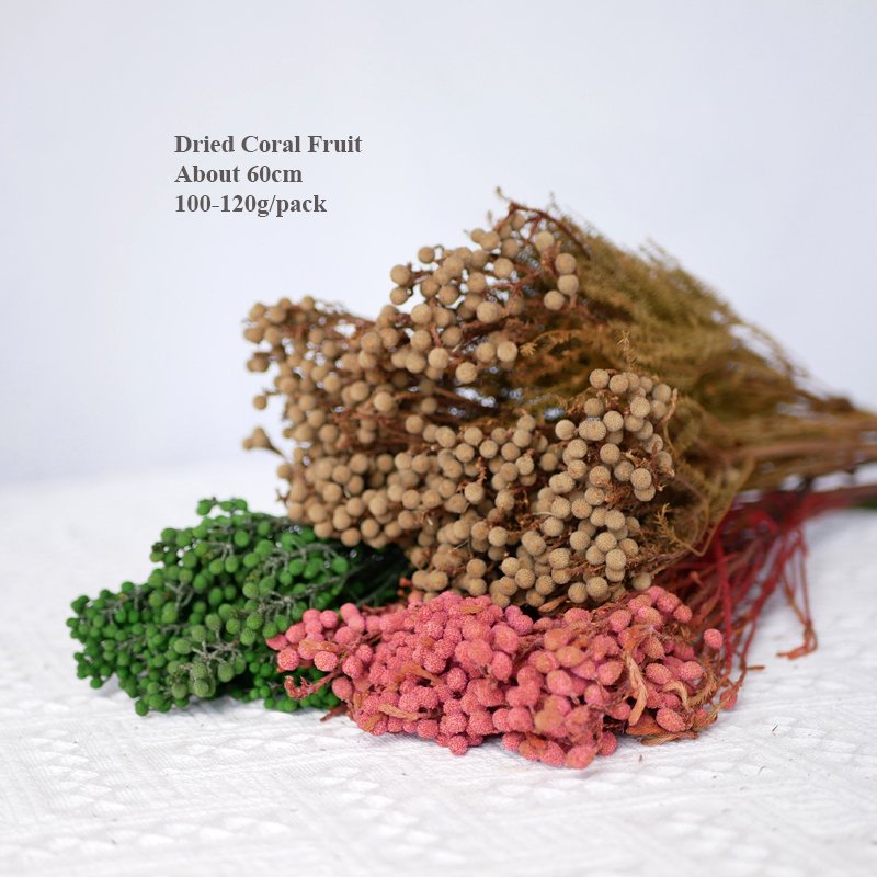 Direct Sale Low Price Small Bouquet Decorative Flowers Wholesale Small Beans Red Pepper Fruit Preserved Coral Fruit Dried Flower