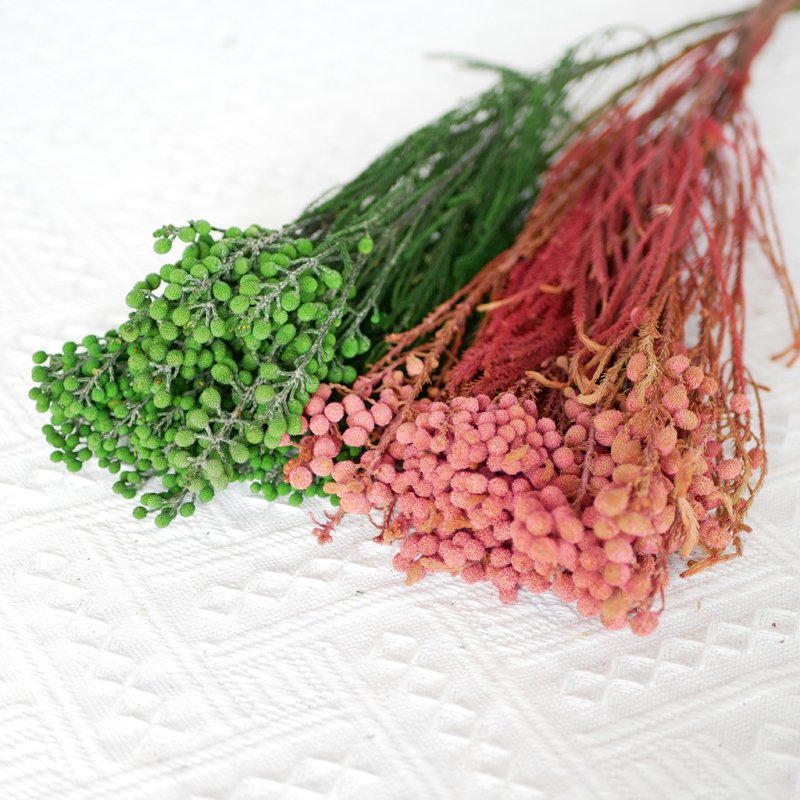 Direct Sale Low Price Small Bouquet Decorative Flowers Wholesale Small Beans Red Pepper Fruit Preserved Coral Fruit Dried Flower