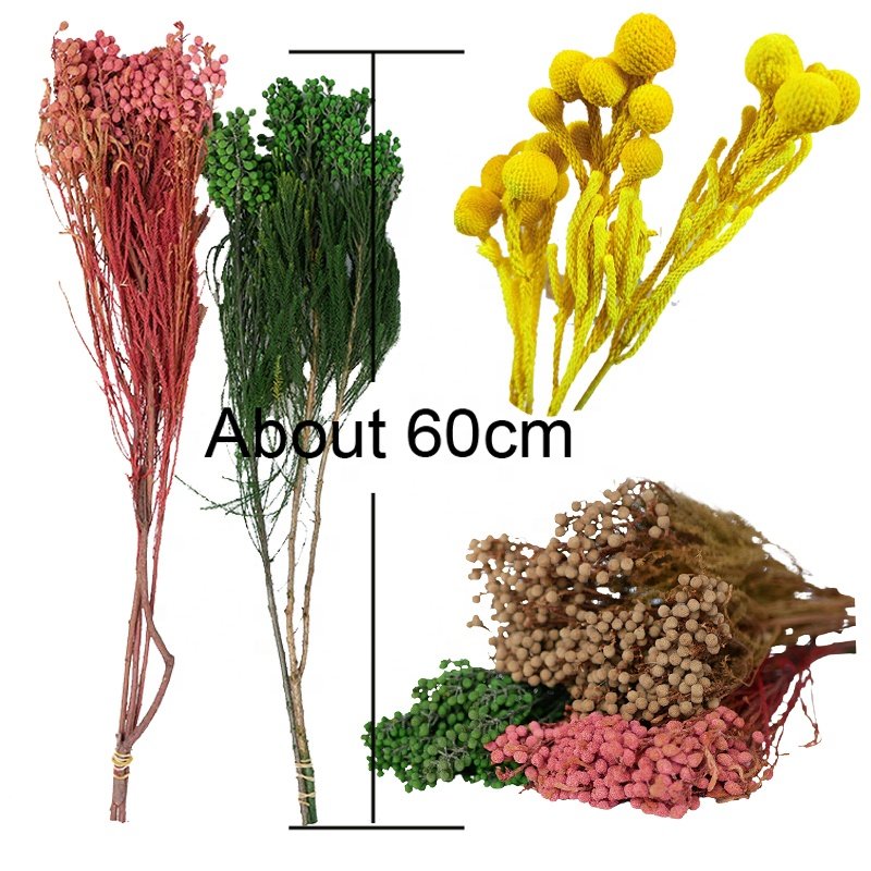 Direct Sale Low Price Small Bouquet Decorative Flowers Wholesale Small Beans Red Pepper Fruit Preserved Coral Fruit Dried Flower
