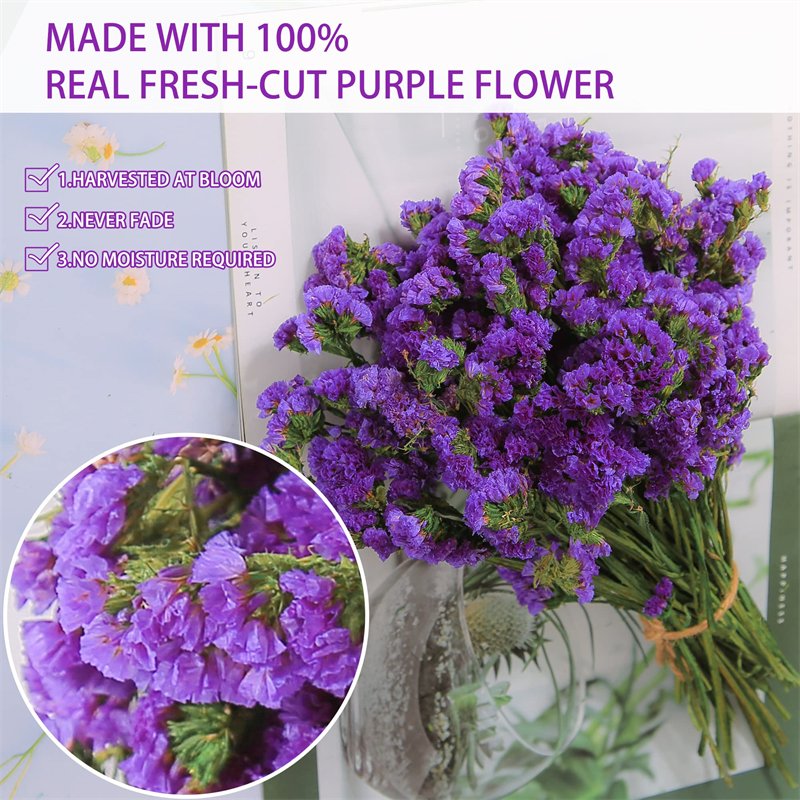 Preserved Natural Flower Arrangement-Forget Me Not Myosotis Sylvatica Statice Limonium Indoor Wedding Decorations