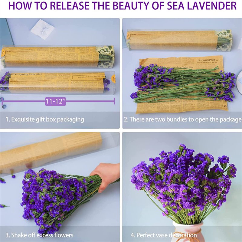 Preserved Natural Flower Arrangement-Forget Me Not Myosotis Sylvatica Statice Limonium Indoor Wedding Decorations