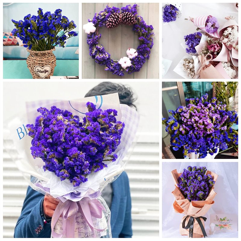 Preserved Natural Flower Arrangement-Forget Me Not Myosotis Sylvatica Statice Limonium Indoor Wedding Decorations