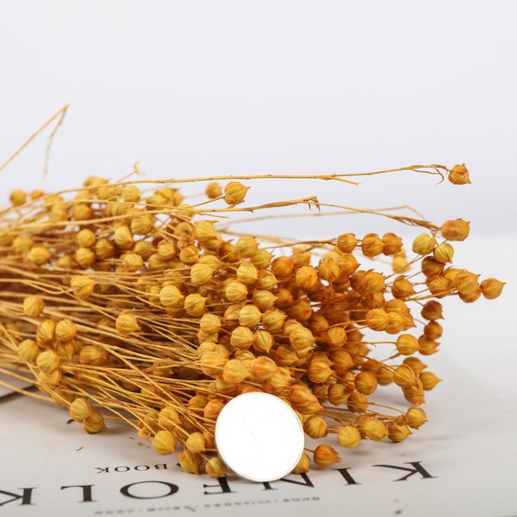 Sumflora Wedding decoration Natural everlasting flowers leaves bouquet preserved flower acacia bean