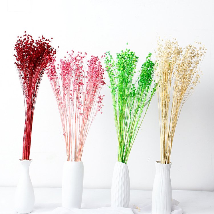 Sumflora Wedding decoration Natural everlasting flowers leaves bouquet preserved flower acacia bean