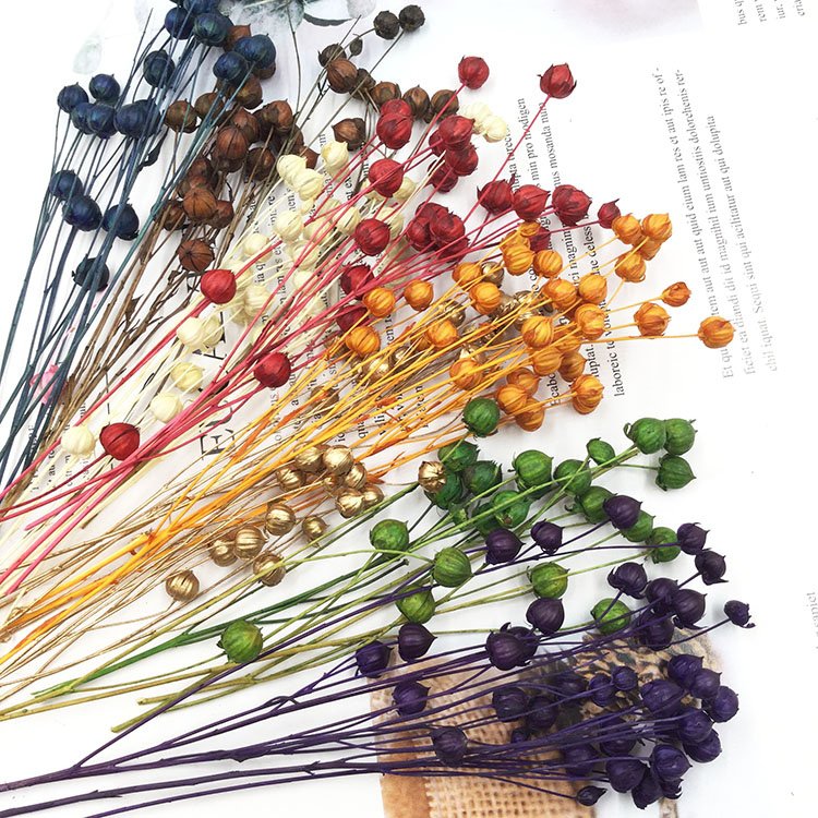 Sumflora Wedding decoration Natural everlasting flowers leaves bouquet preserved flower acacia bean