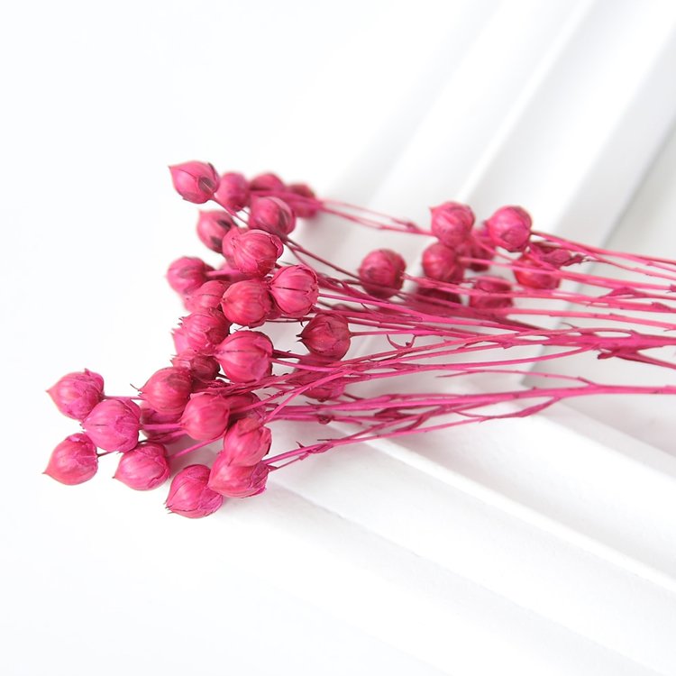 Sumflora Wedding decoration Natural everlasting flowers leaves bouquet preserved flower acacia bean
