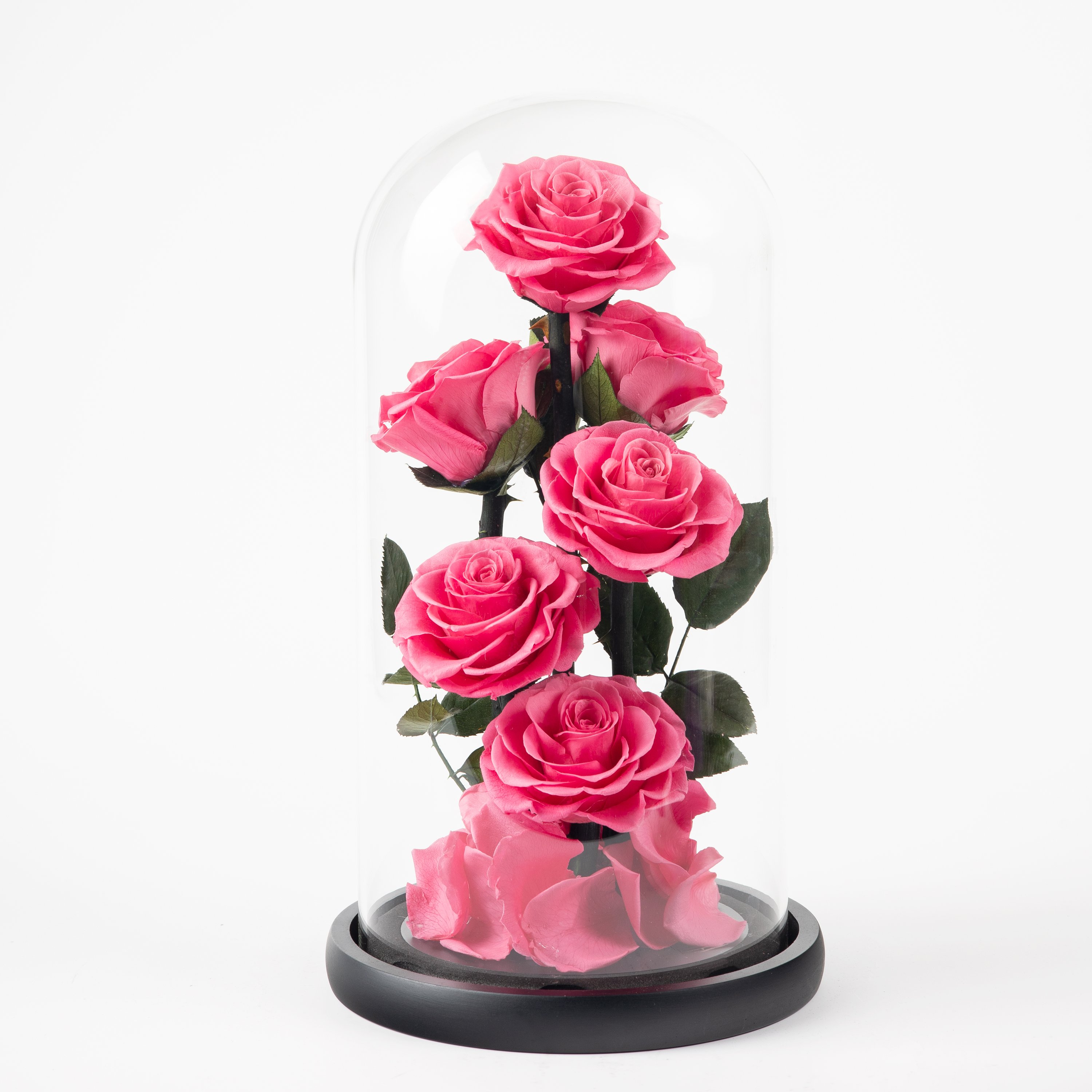 Wholesale High Quality Real Rose Preserved Flowers Glass Dome Decoration for Birthday Gift Wedding Anniversary
