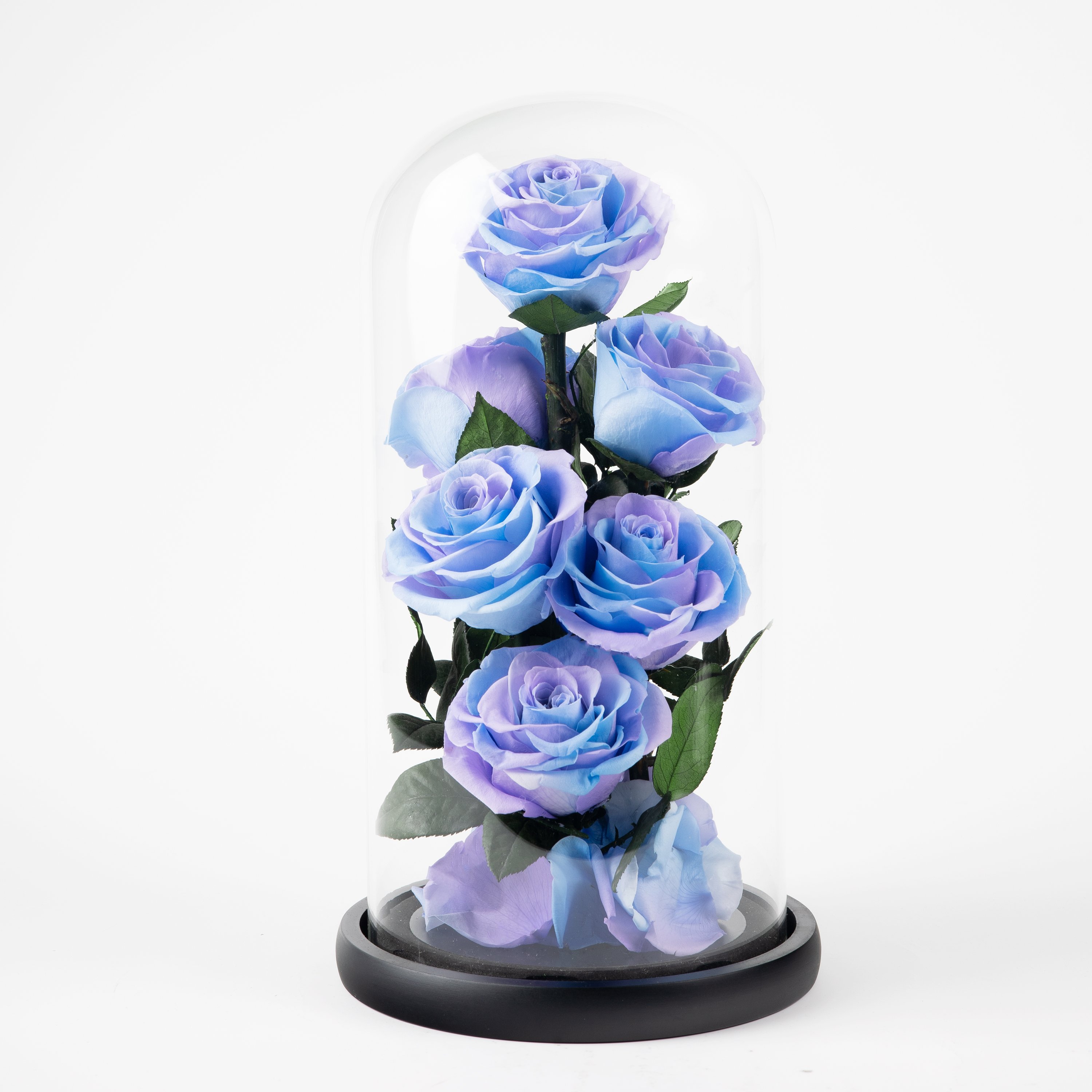 Wholesale High Quality Real Rose Preserved Flowers Glass Dome Decoration for Birthday Gift Wedding Anniversary