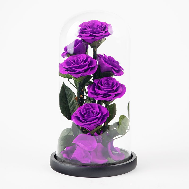 Wholesale High Quality Real Rose Preserved Flowers Glass Dome Decoration for Birthday Gift Wedding Anniversary