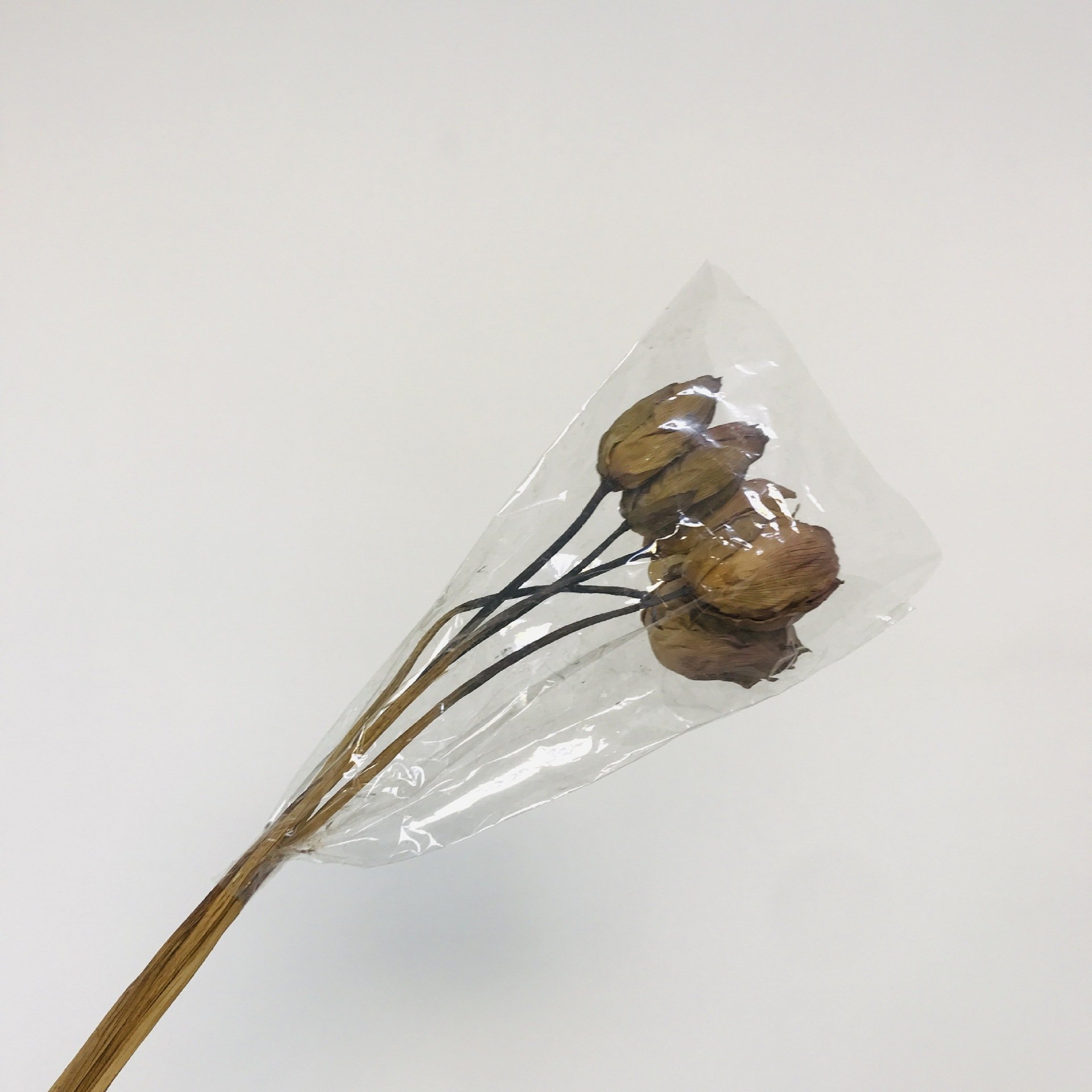 Dried Lotus Dried Flowers Home Decoration Flower Arranging Wood Lotus Sleeping Lotus Zen Shooting Creative Flower Natural Drying