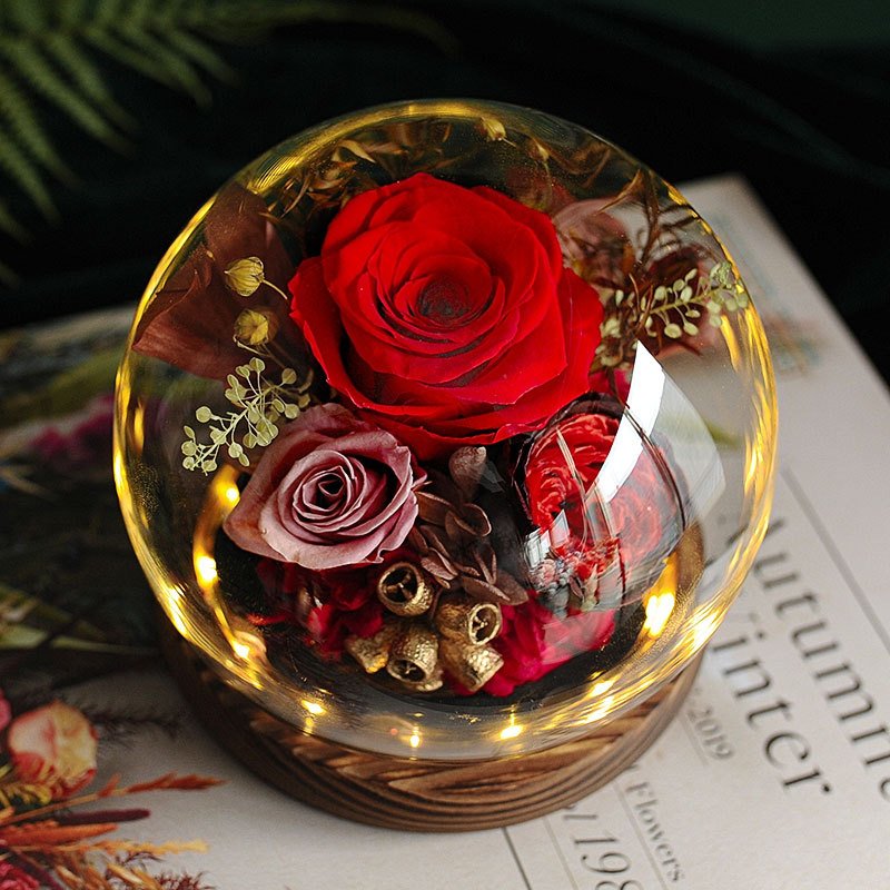 Valentines Day Gifts Eternal Real Rose Everlasting Bella New Product Ideas 2024 Forever Roses Preserved Flower in Glass Dome