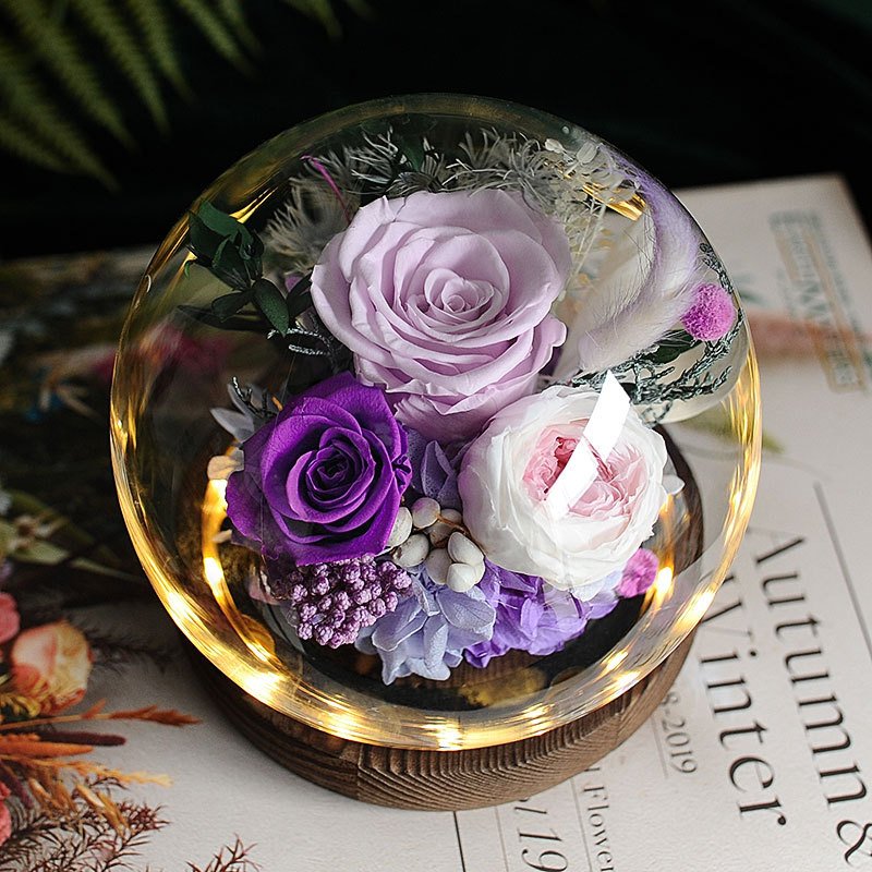 Valentines Day Gifts Eternal Real Rose Everlasting Bella New Product Ideas 2024 Forever Roses Preserved Flower in Glass Dome