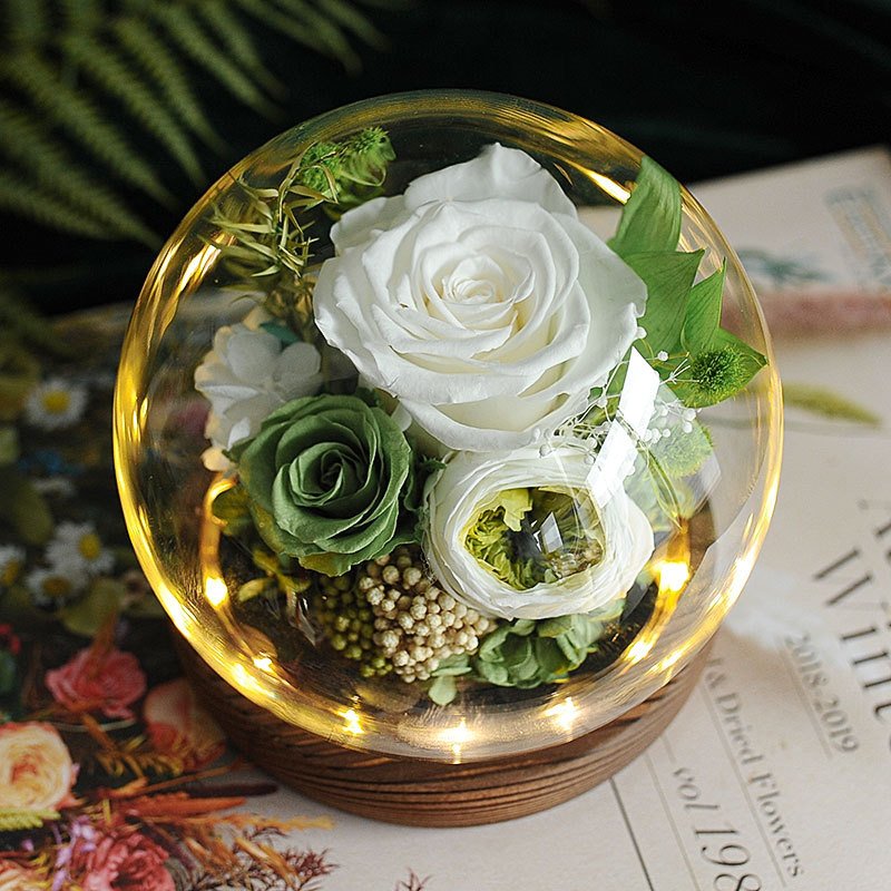 Valentines Day Gifts Eternal Real Rose Everlasting Bella New Product Ideas 2024 Forever Roses Preserved Flower in Glass Dome