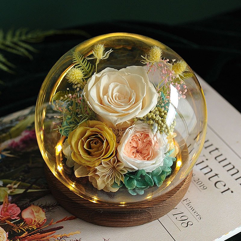 Valentines Day Gifts Eternal Real Rose Everlasting Bella New Product Ideas 2024 Forever Roses Preserved Flower in Glass Dome