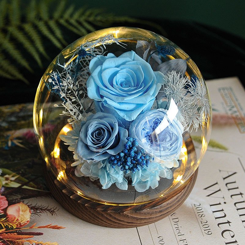 Valentines Day Gifts Eternal Real Rose Everlasting Bella New Product Ideas 2024 Forever Roses Preserved Flower in Glass Dome
