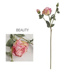 beauty