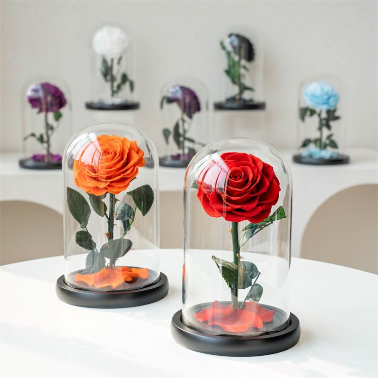 Factory Original A grade beautiful enchanted preserved flowers in glass princekin festival gift