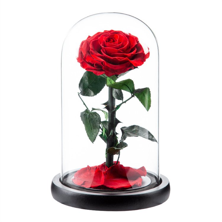 Factory Original A grade beautiful enchanted preserved flowers in glass princekin festival gift