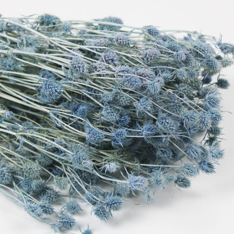 INS 2023 most popular preserved sea holly Eryngium Valentines Fruit Decorative Flowers for Home Decoration