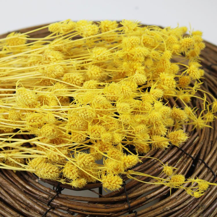 INS 2023 most popular preserved sea holly Eryngium Valentines Fruit Decorative Flowers for Home Decoration