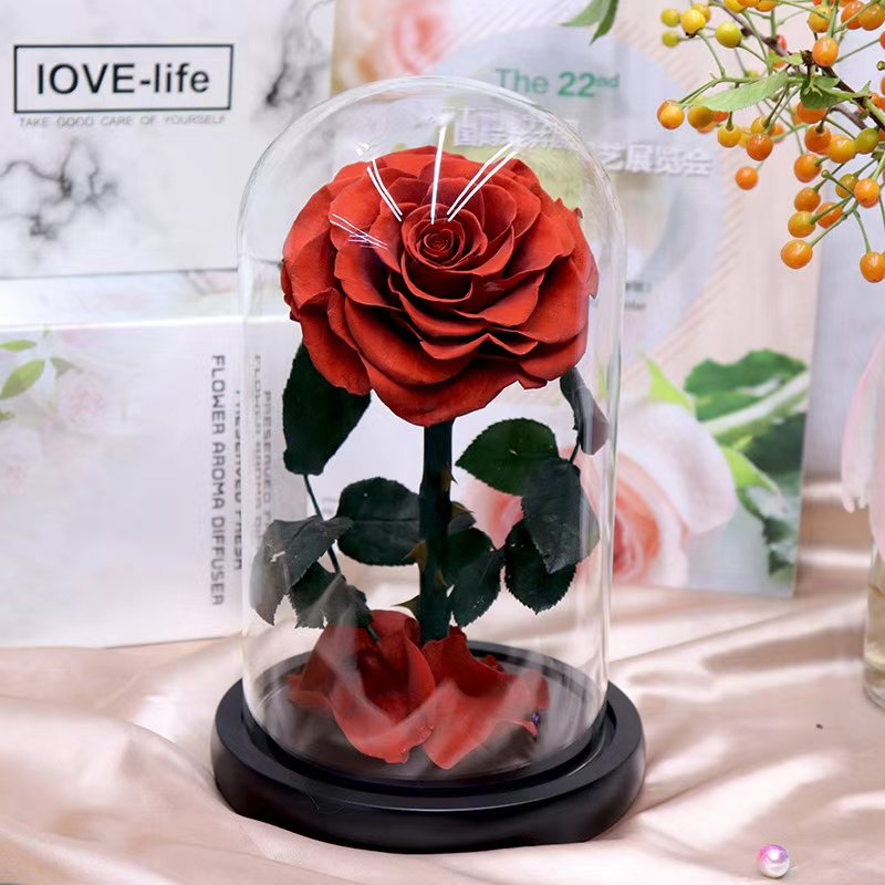 Add a Touch of Nature to Your Living Space Artistic Preserved Flower Glass Dome