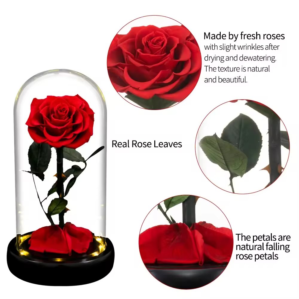 MCflora Real Rose with LED Light Preserved Roses in Glass Eternal Flower Dome for Girl Woman Red Valentine's Day Gift Rose