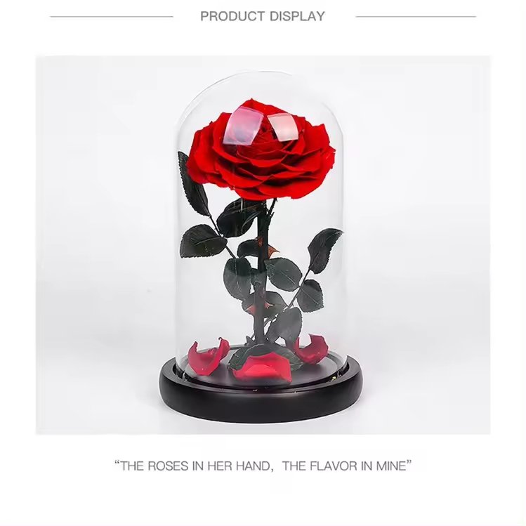 MCflora Real Rose with LED Light Preserved Roses in Glass Eternal Flower Dome for Girl Woman Red Valentine's Day Gift Rose