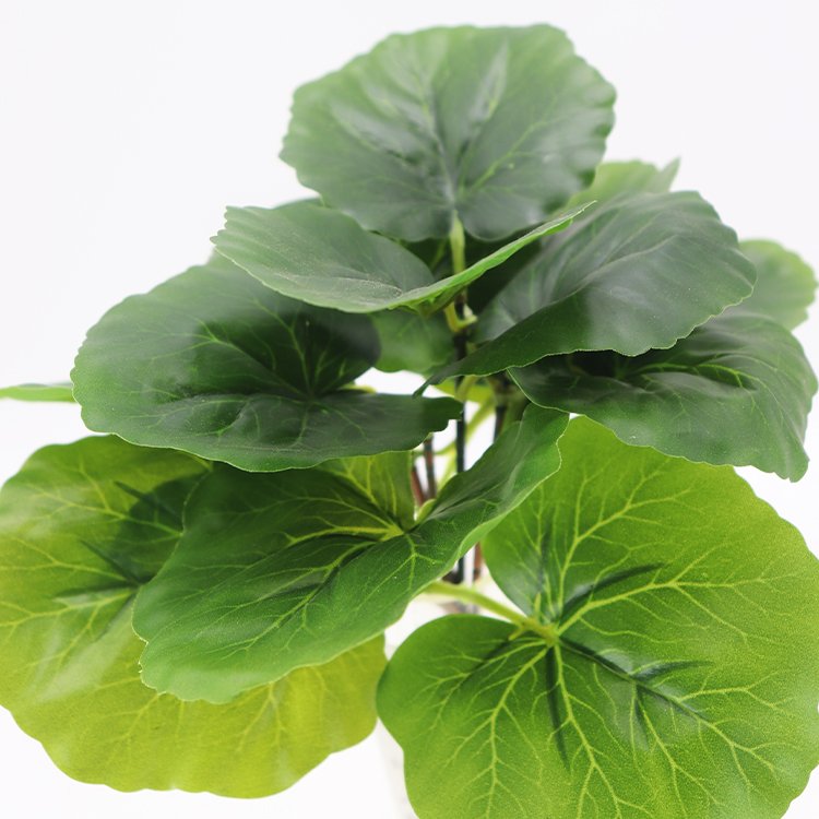 Wholesale 22cm Haitang Factory Outlet Preserved Flowers & Plants Other Decorative Wreaths & Artificial Flowers