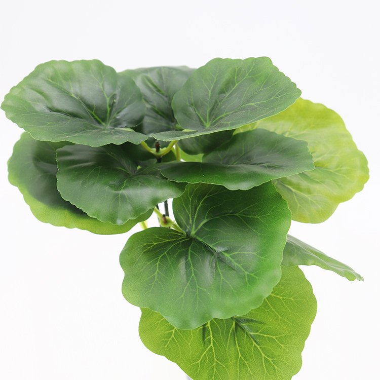 Wholesale 22cm Haitang Factory Outlet Preserved Flowers & Plants Other Decorative Wreaths & Artificial Flowers