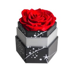hexagon-1rose-red