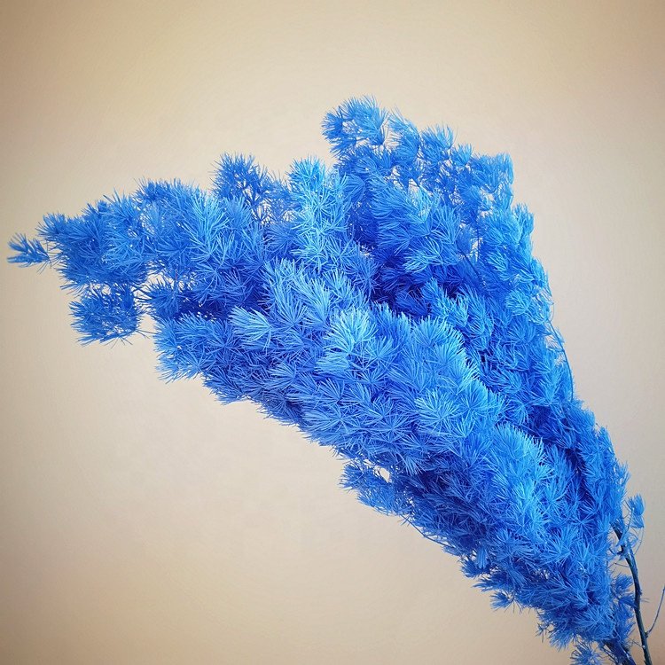High quality preserved Penglai pine real natural Preserved Ming Asparagus Fern for flower arrangement accessories