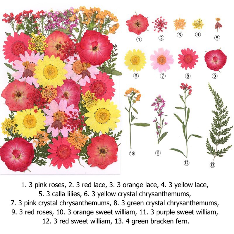 pressed flower art diy decoration hanging frame preserved flower wreath pressed flowers for face
