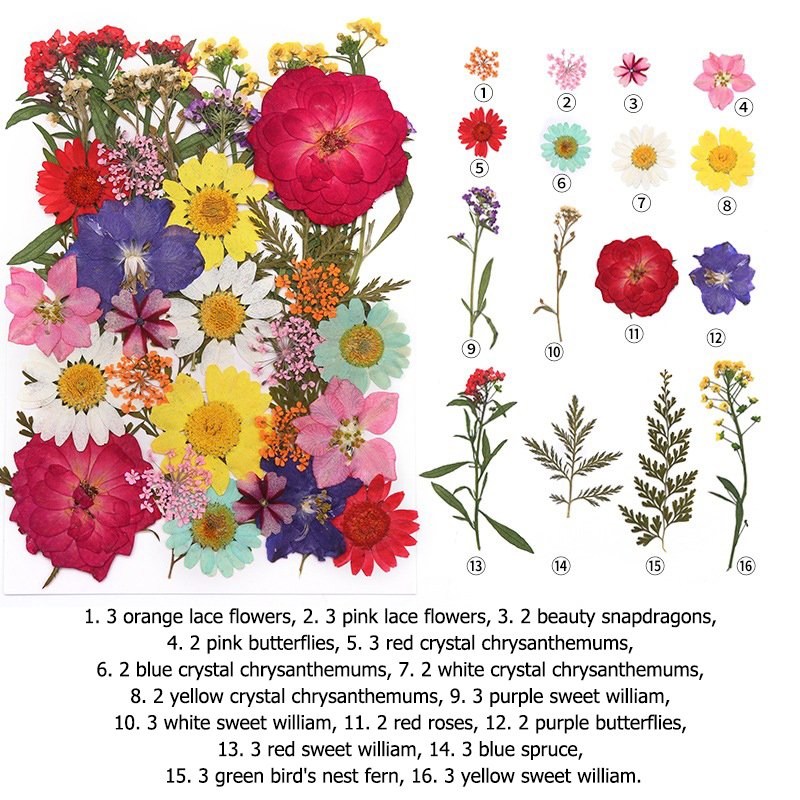 pressed flower art diy decoration hanging frame preserved flower wreath pressed flowers for face