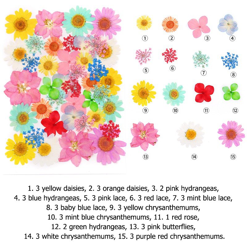 pressed flower art diy decoration hanging frame preserved flower wreath pressed flowers for face