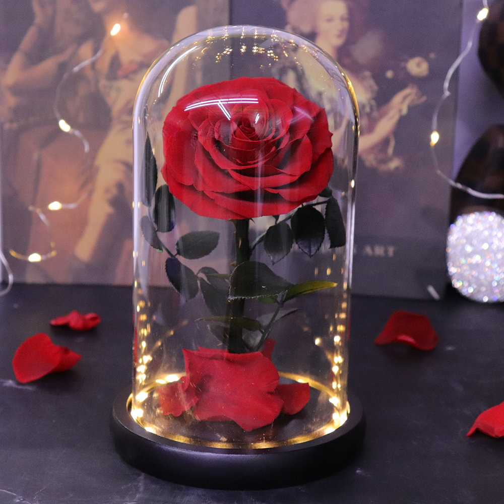 Hot Selling Valentine's Day Gift Preserved Flower Gift Light Up Real Rose In Glass 1 Preserved Rose In Glass Dome With Gift Box