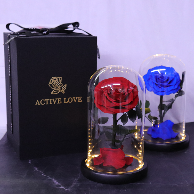 Hot Selling Valentine's Day Gift Preserved Flower Gift Light Up Real Rose In Glass 1 Preserved Rose In Glass Dome With Gift Box