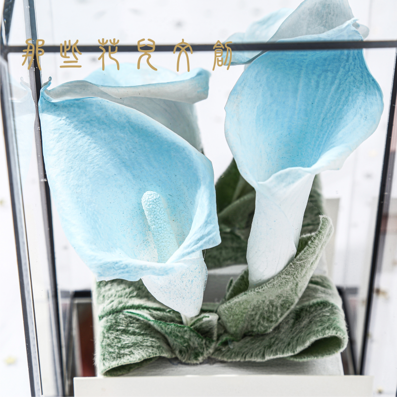 Long Lasting Immortal Real Preserved Flowers Calla Lily In Square Clear Acrylic Mirror Box Good Gift For Birthday/Wedding Guests