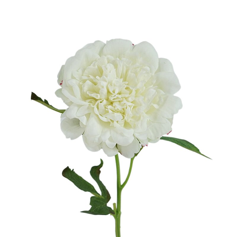 H-346 Artificial Single Stem Real Touch Peonies Large Head White Pink Peony Flower For Wedding Party Decoration