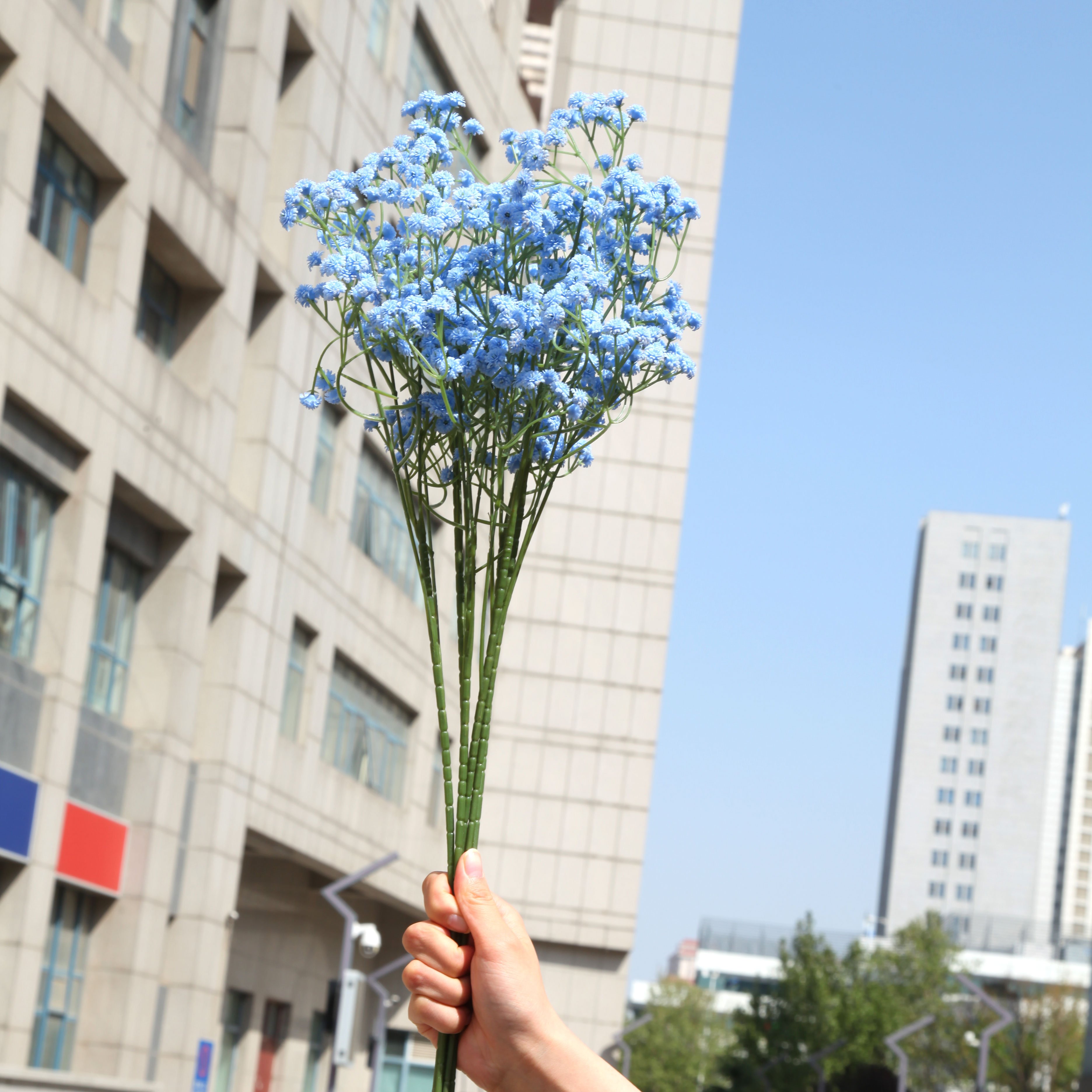TCF Wholesale Valentine Gift Baby Breath Flowers Artificial Real Touch Gypsophila Preserved Baby Breath Babysbreath