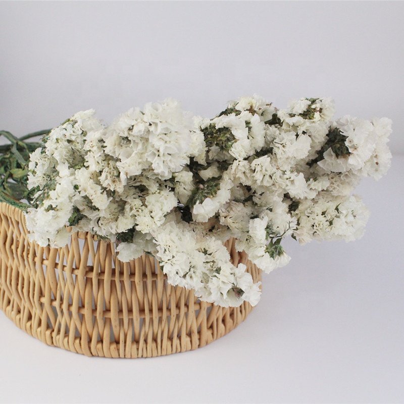 Pure colors preserved statice preserevd flower for house decor