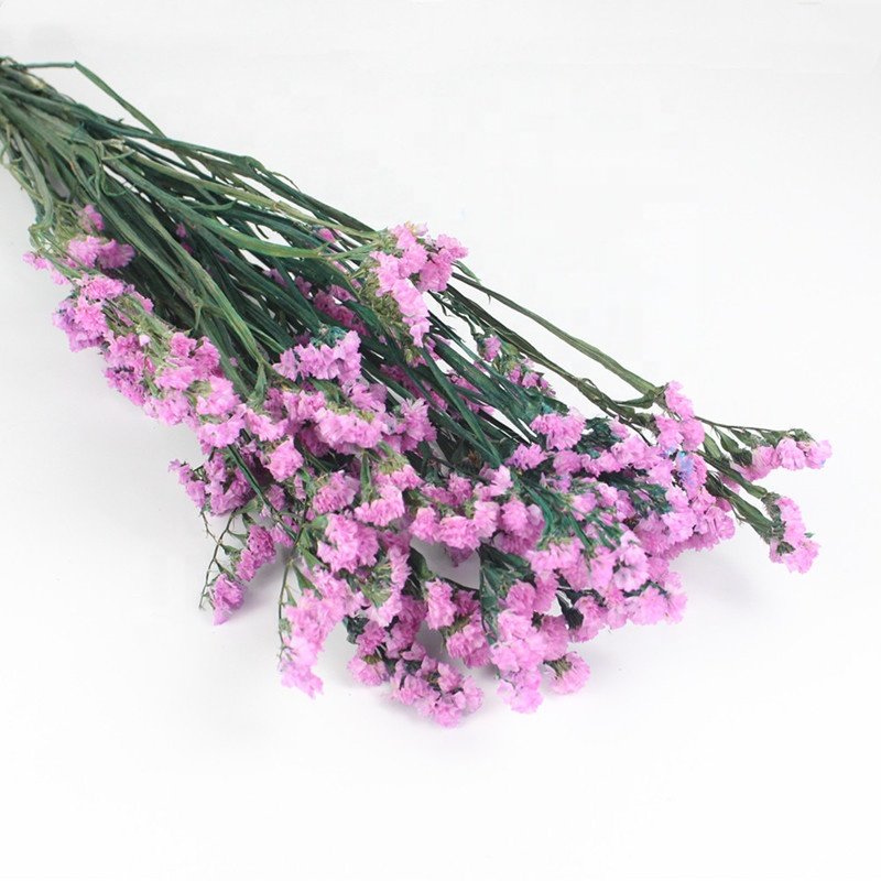Pure colors preserved statice preserevd flower for house decor