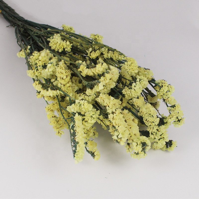 Pure colors preserved statice preserevd flower for house decor