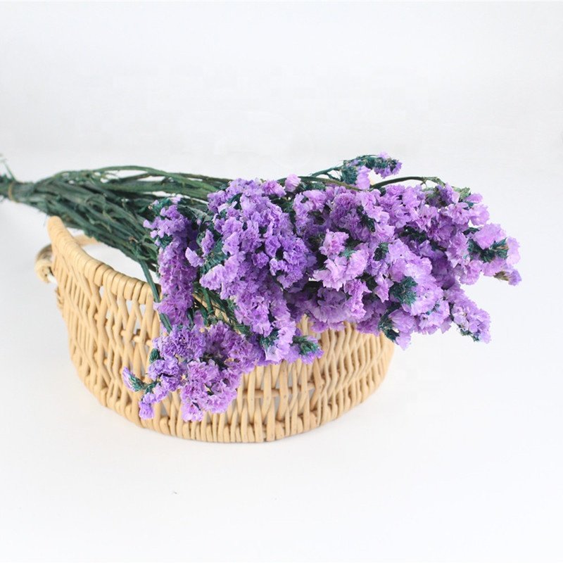 Pure colors preserved statice preserevd flower for house decor