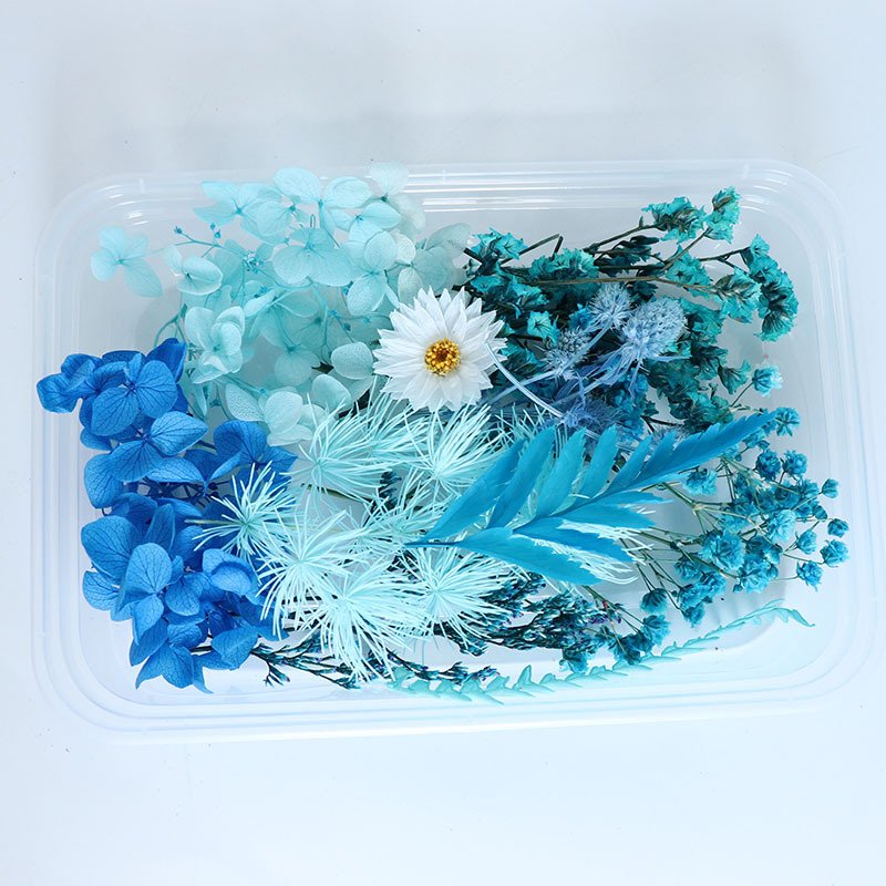 DIY Mixed Pressed Dried Flowers High Quality Eternal Flower Material Package Natural Dried Flowers