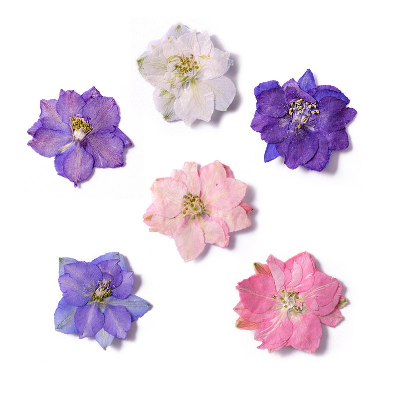 Natural Real Dried Larkspur Flowers Pressed Flower For Resin Epoxy Art Candle Making Photo Frame