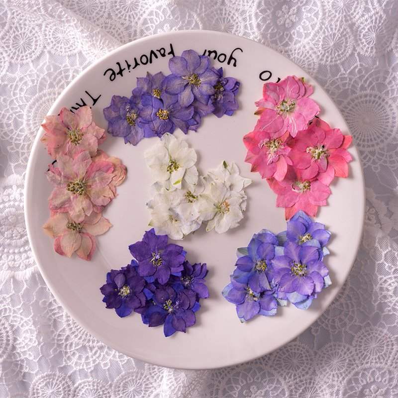 Natural Real Dried Larkspur Flowers Pressed Flower For Resin Epoxy Art Candle Making Photo Frame